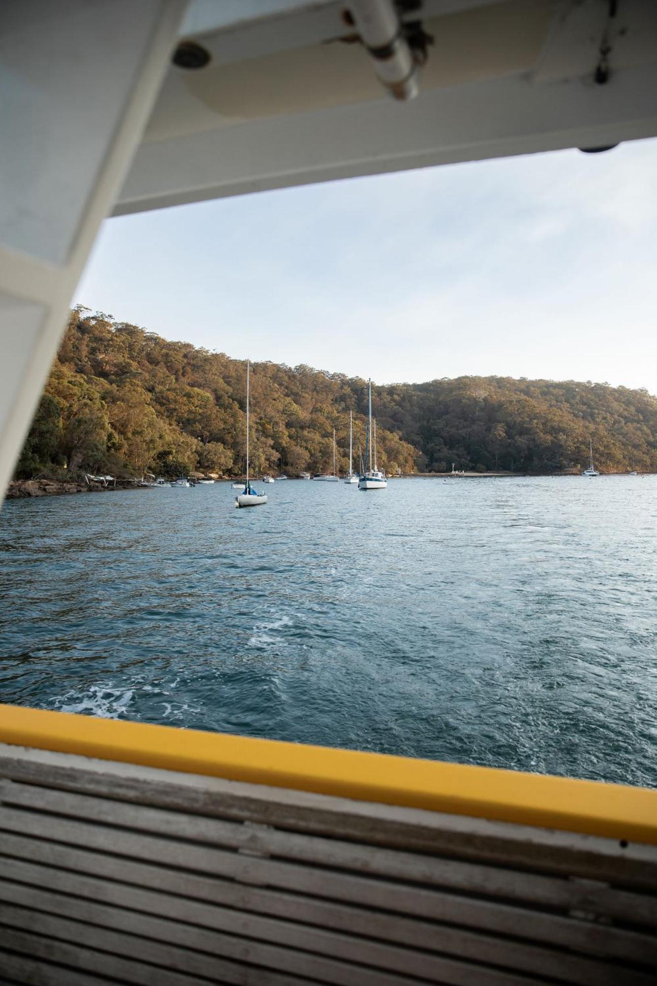 Cape Mackerel Cabin With Magic Palm Beach & Pittwater Views Great Mackerel Beach Exterior foto