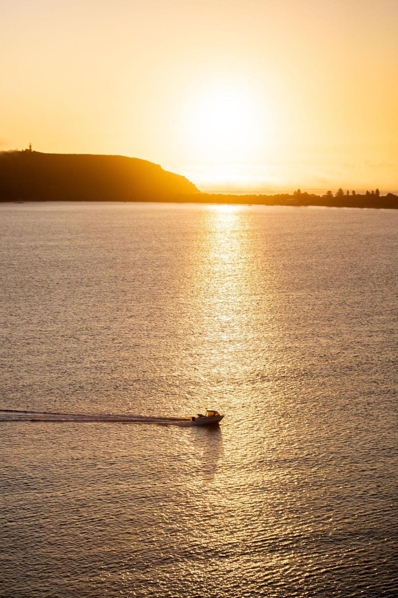 Cape Mackerel Cabin With Magic Palm Beach & Pittwater Views Great Mackerel Beach Exterior foto